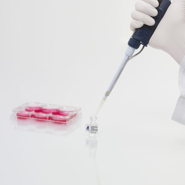 PepTivator HCV1a Core, human – research grade