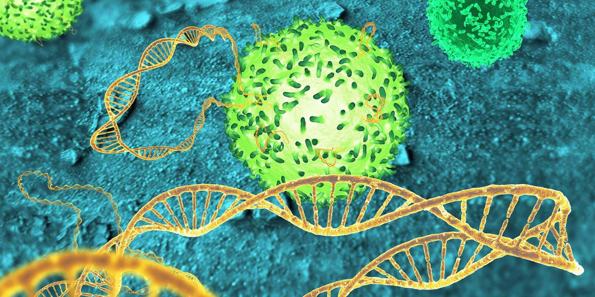 Иммунотерапия рака: CCR4 – потенциальный маркер для селективной деплеции FOXP3+ CD4+ регуляторных Т-клеток эффекторного типа