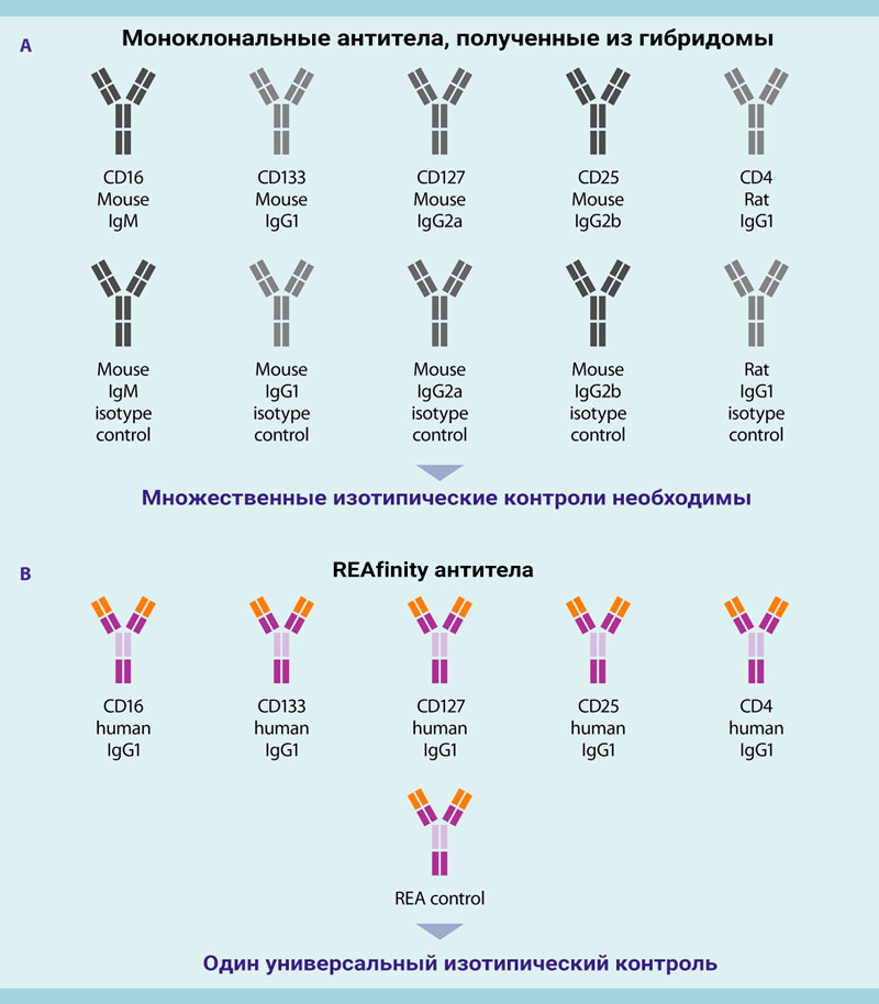 Антитела - подробно об их использовании в проточной цитометрии