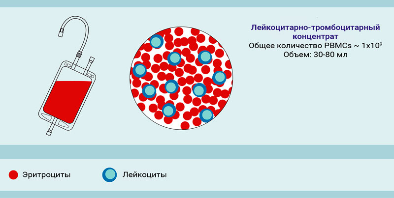 Субпопуляционный состав лейкоцитов крови и ее продуктов
