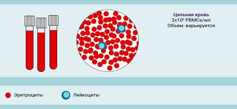 Субпопуляционный состав лейкоцитов крови и ее продуктов