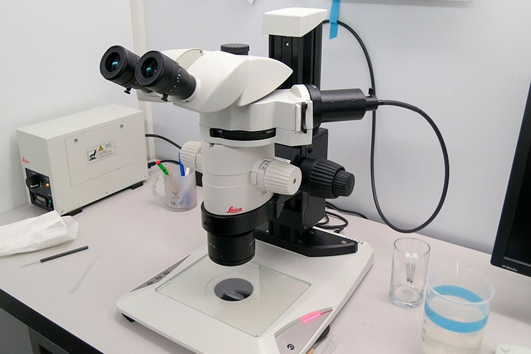 Как работает люминесцентная микроскопия