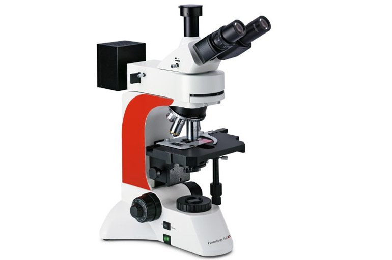 Метод световой микроскопии