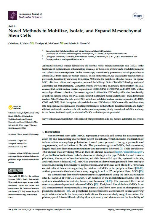 Новые методы мобилизации, изоляции и расширения мезенхимальных стволовых клеток