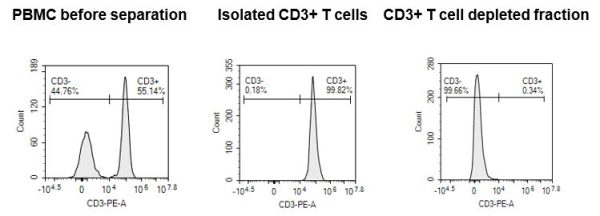 CytoSinct™ CD3 наночастицы, человек